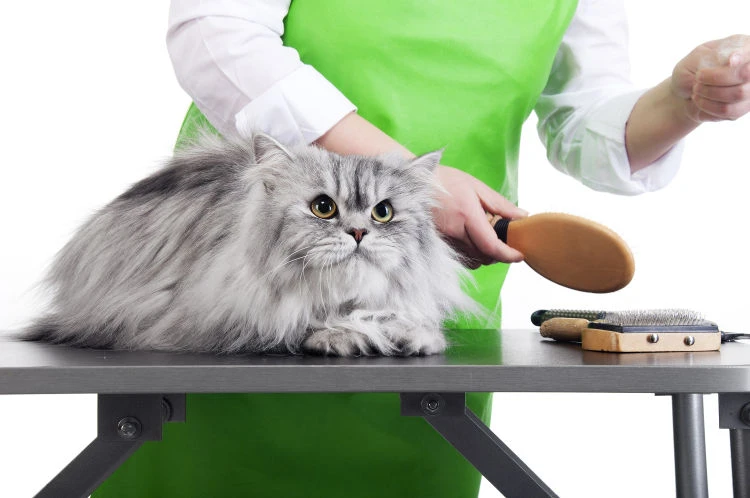 Service